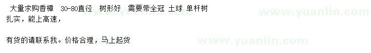 求購(gòu)香樟、香樟樹(shù)