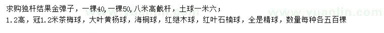 求購金彈子、茶梅球、大葉黃楊球等