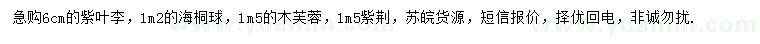 求購紫葉李、海桐球、木芙蓉等