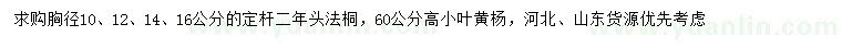 求購(gòu)胸徑10、12、14、16公分法桐、60公分高小葉黃楊
