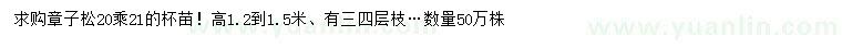 求購樟子松