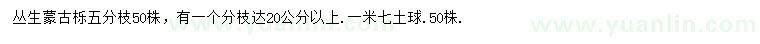 求購叢生蒙古櫟