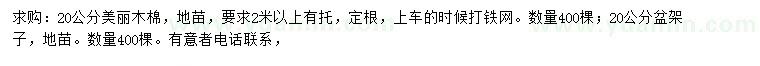 求購(gòu)20公分美麗木棉