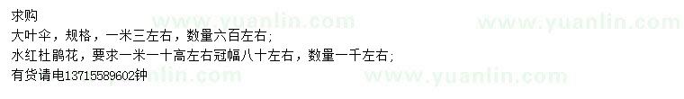 求購大葉傘、水紅杜鵑花