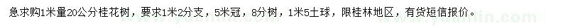 求購1米量20公分八月桂