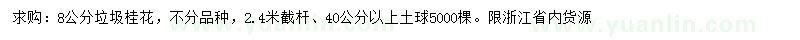 求購8公分垃圾桂花