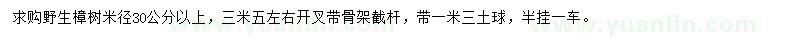 求購(gòu)米徑30公分野生樟樹(shù)