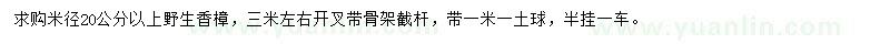 求購米徑20公分以上野生香樟