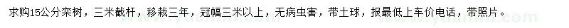 求購(gòu)15公分欒樹(shù)