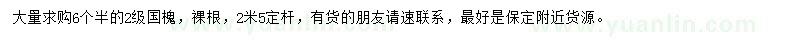 求購(gòu)6.5公分國(guó)槐