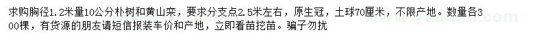求購1.2米量10公分樸樹、黃山欒
