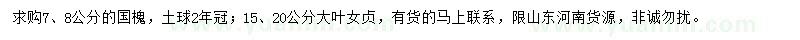 求購(gòu)7、8公分國(guó)槐、15、20公分大葉女貞