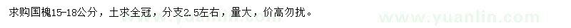求購(gòu)15-18公分國(guó)槐