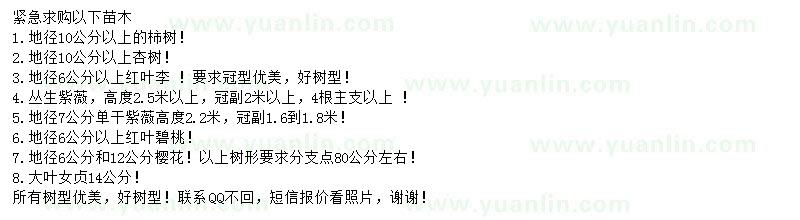 求購(gòu)柿樹、杏樹、紅葉李等