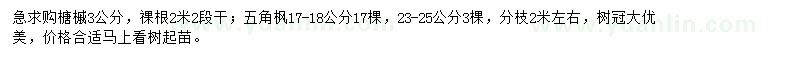 求購(gòu)榶槭、五角楓