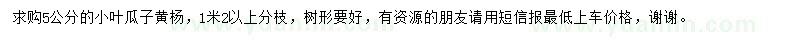 求購5公分小葉瓜子黃楊