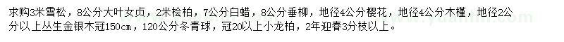 求購雪松、大葉女貞、檜柏等