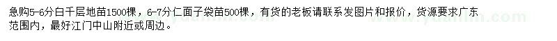 求購5-6分白千層地苗、6-7分仁面子袋苗