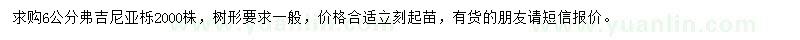求購(gòu)6公分弗吉尼亞櫟