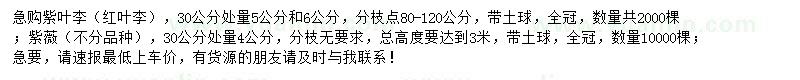 求購(gòu)紫葉李、紫薇