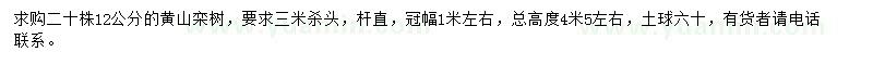 求購12公分黃山欒樹