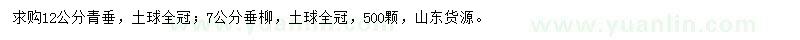 求購12公分青垂、7公分垂柳