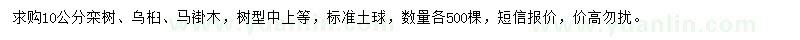 求購欒樹、烏桕、馬褂木