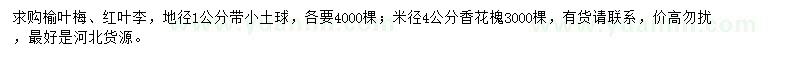 求購榆葉梅、紅葉李、香花槐