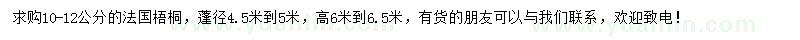 求購10-12公分法國梧桐