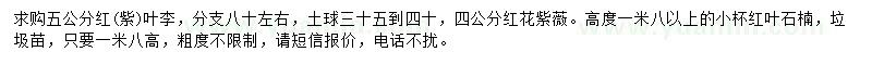 求購紅葉李、紅花紫薇、紅葉石楠