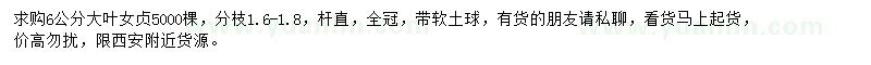 求購6公分大葉女貞