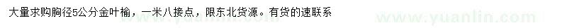 求購胸徑5公分金葉榆