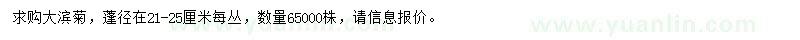 求購蓬21-25公分大濱菊