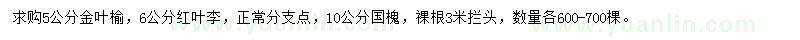 求購金葉榆、國槐、紅葉李