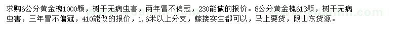 求購6、8公分黃金槐