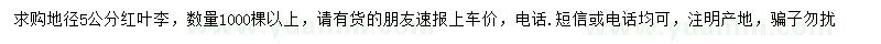 求購地徑5公分紅葉李