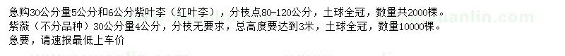 求購(gòu)30公分量5、6公分紫葉李、4公分紫薇