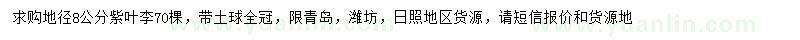 求購地徑8公分紫葉李