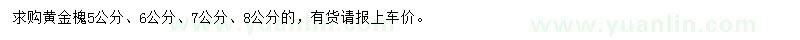 求購(gòu)5、6、7、8公分黃金槐