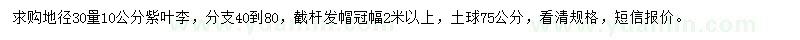求購(gòu)地徑30量10公分紫葉李