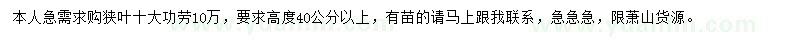 求購高40公分以上狹葉十大功勞