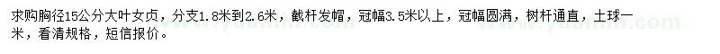 求購胸徑15公分大葉女貞
