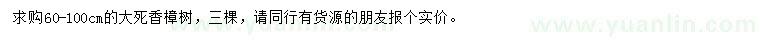 求購60-100公分大死香樟樹