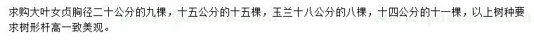 求購大葉女貞、玉蘭