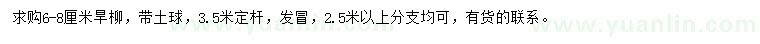 求購6-8公分旱柳