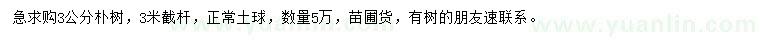 求購(gòu)3公分樸樹