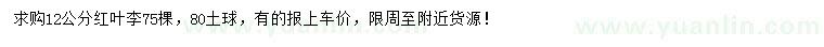 求購12公分紅葉李