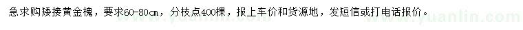 求購(gòu)矮接黃金槐