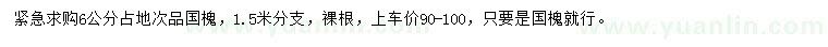 求購6公分國槐