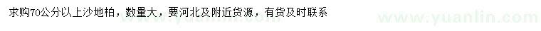 求購70公分以上沙地柏